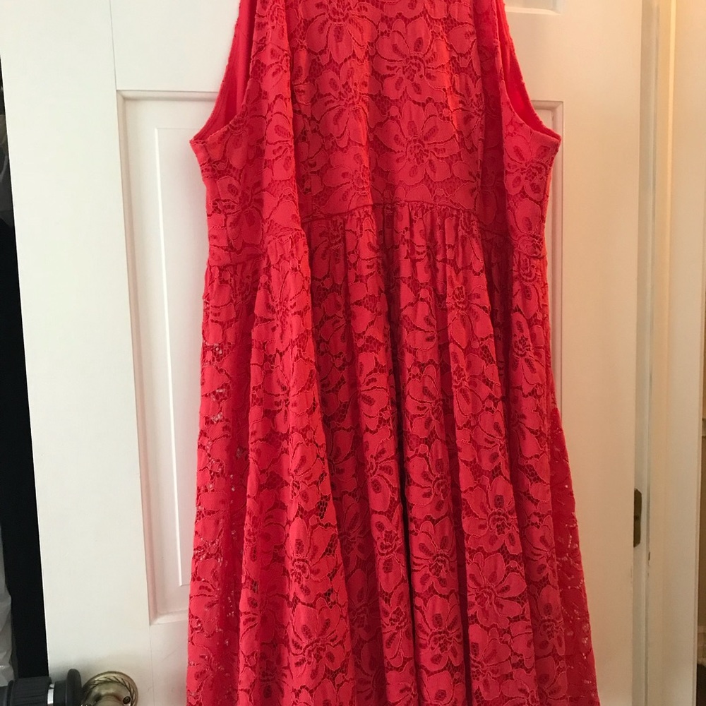 Dress / lace